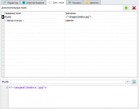Window of the additional field editor