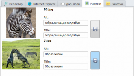 Tab Images of article editor