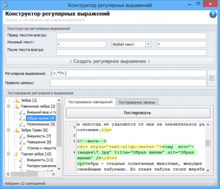 Regular expressions kit window